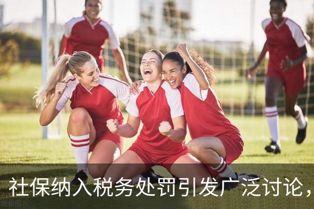 社保纳入税务处罚引发广泛讨论，背后真相何在？